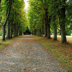 Rauischholzhausen  Park -